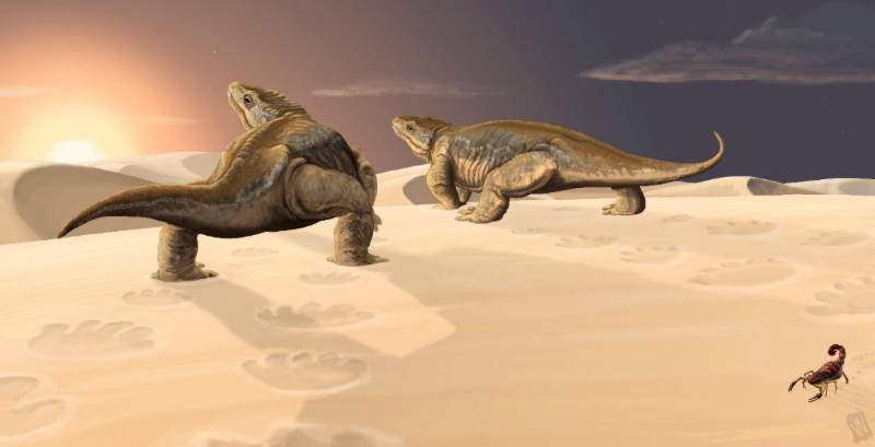 Artwork depicting two primitive tetrapods, looking something like giant lizards, leaving tightly spaced footprints in desert sand dunes. The work is based on the discovery of 313-million-year-old Ichniotherium tracks in Grand Canyon National Park.
